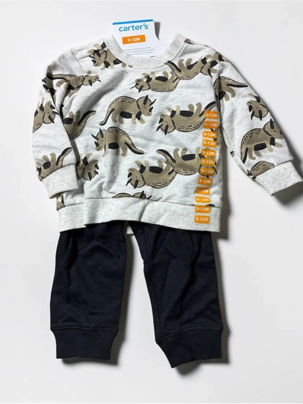Carter's Gray Raccoon Print Sweatshirt with Navy Pants Set